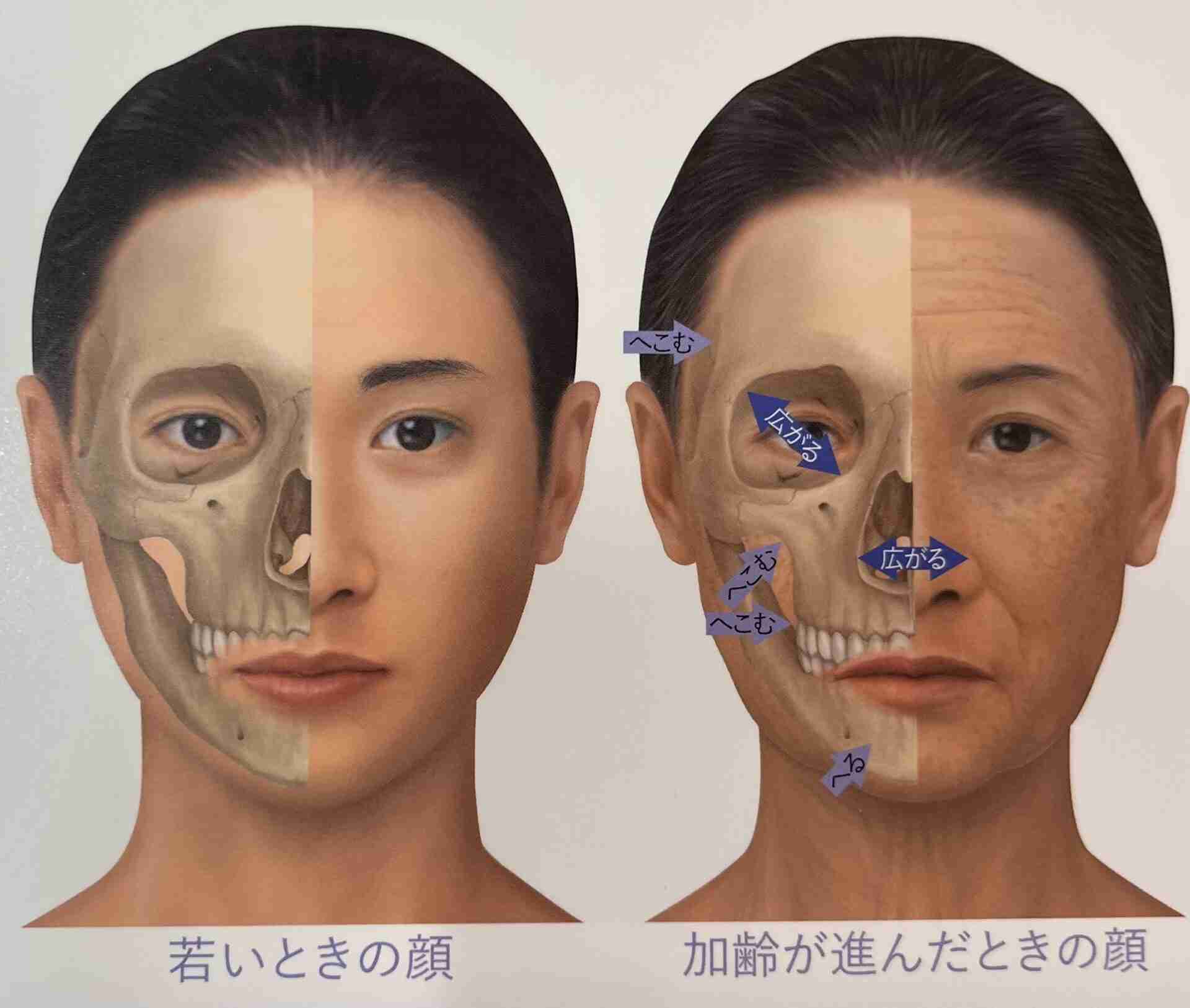 青田典子　夫・玉置浩二に見つめられる“ラブラブ誕生日2S”披露に「キュンとしました」「幸せそう」の声