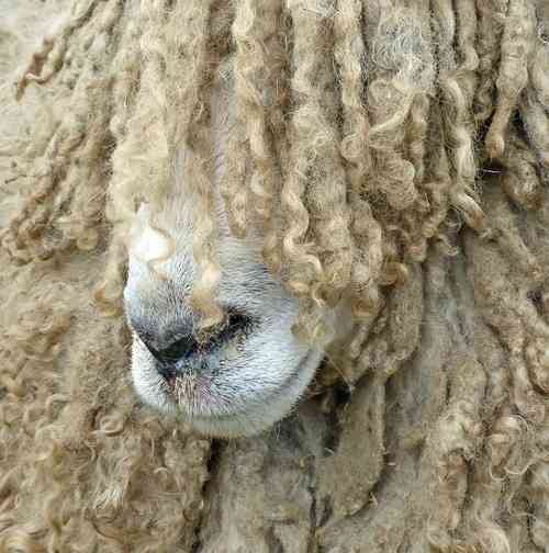 青田典子　夫・玉置浩二に見つめられる“ラブラブ誕生日2S”披露に「キュンとしました」「幸せそう」の声