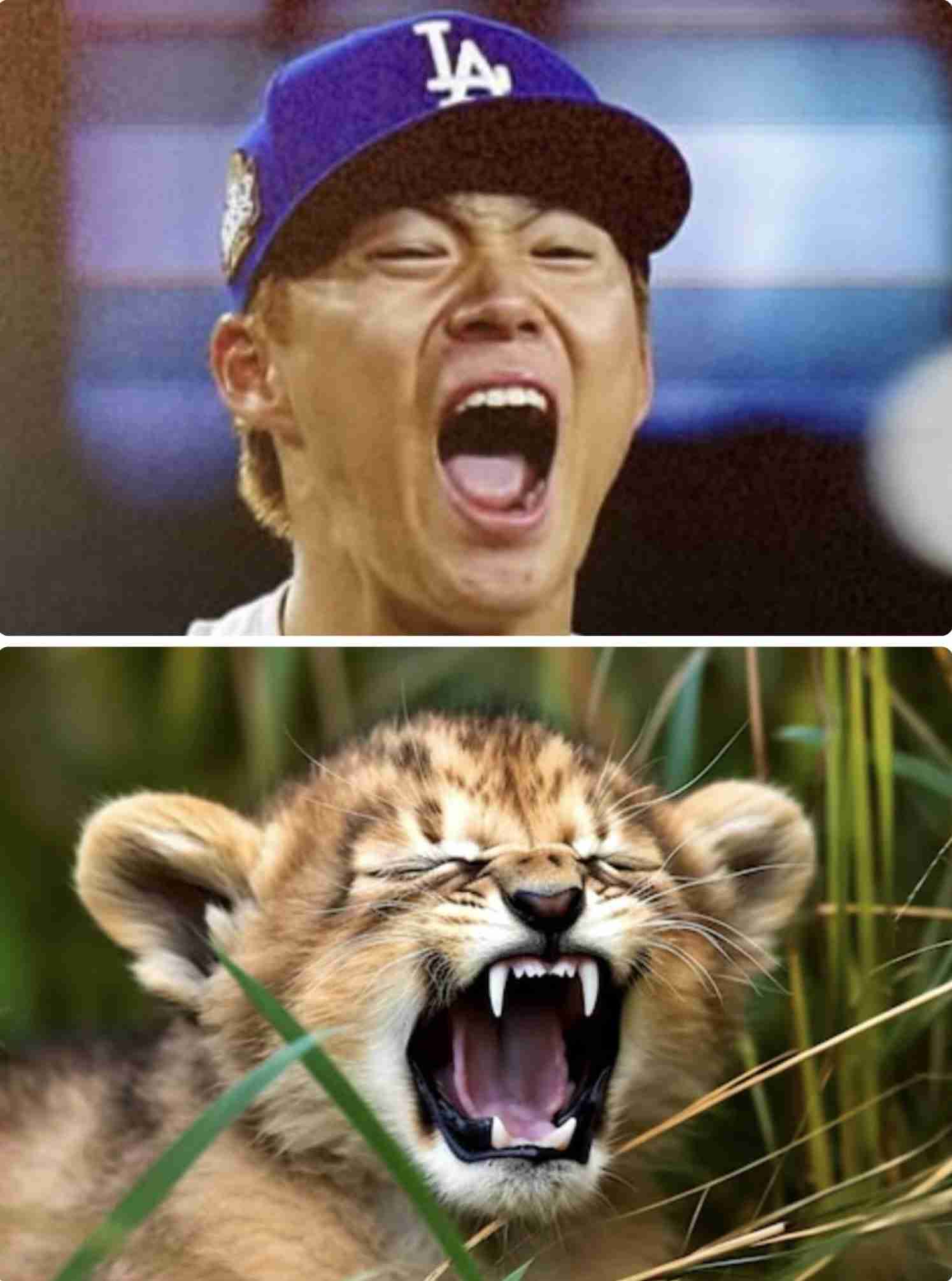 【実況・感想】MLB2025ドジャース応援トピ【アンチ厳禁】Part7