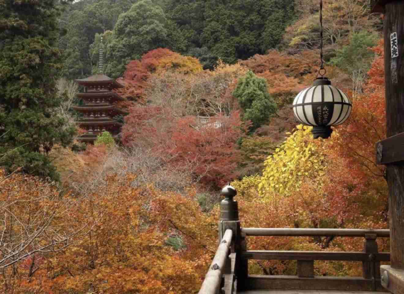 奈良のおすすめ