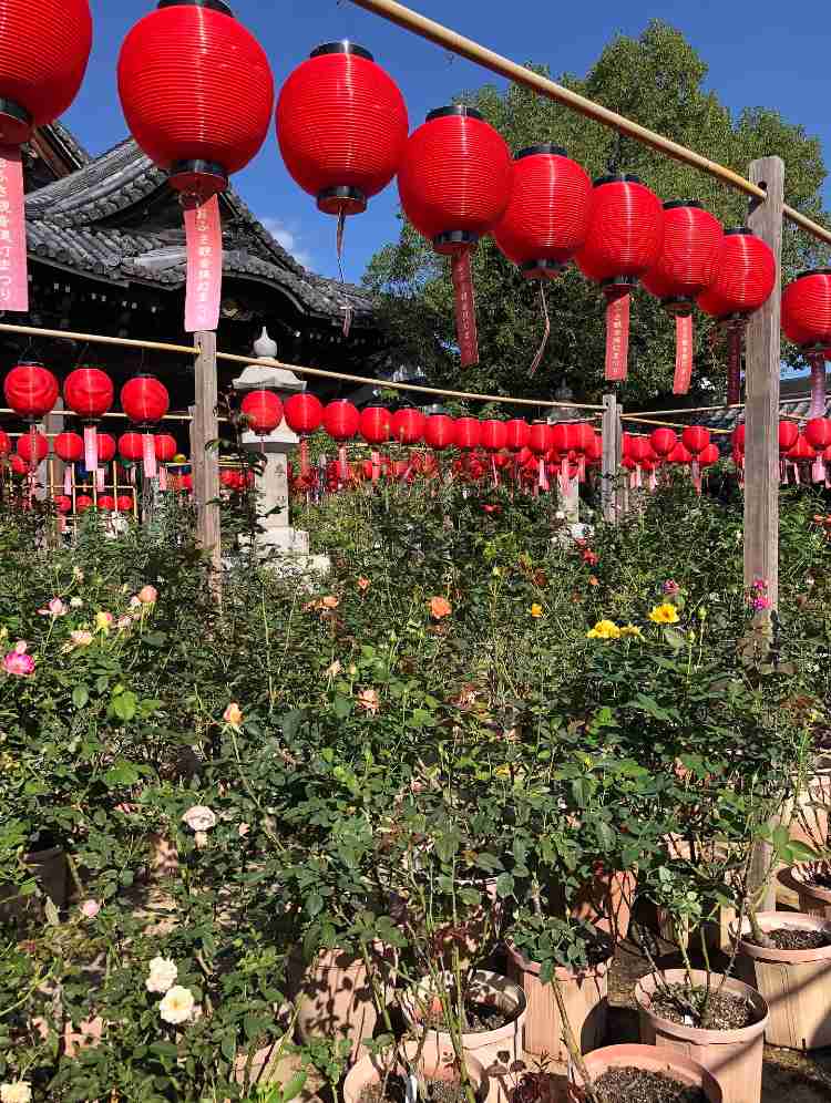 奈良のおすすめ