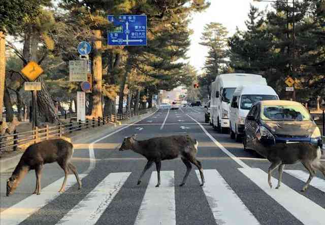 奈良のおすすめ