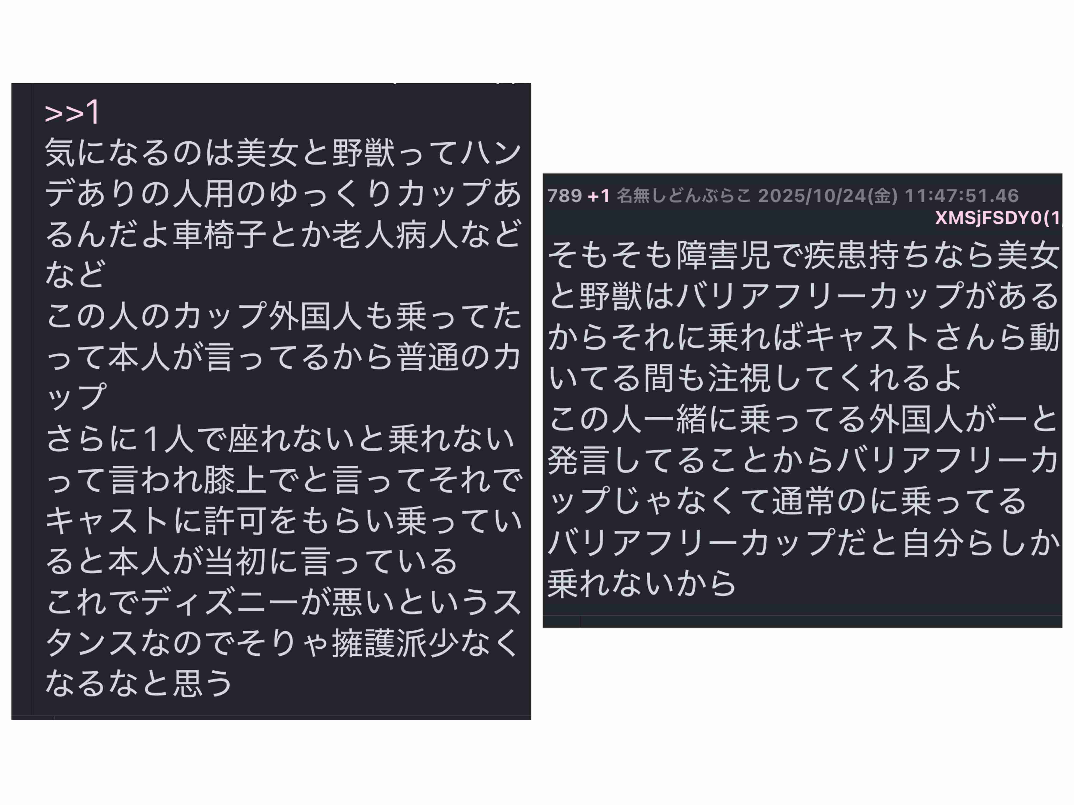 東京ディズニーランド「美女と野獣」で子どもが救急搬送　「安全ベルトが首にかかり苦しんでいる」と通報
