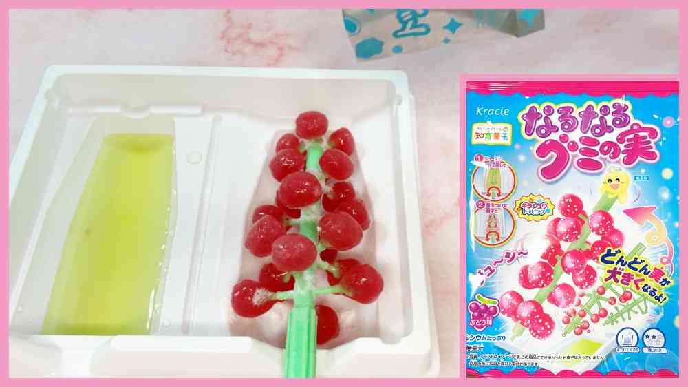 グミ好きの集い〜part5〜