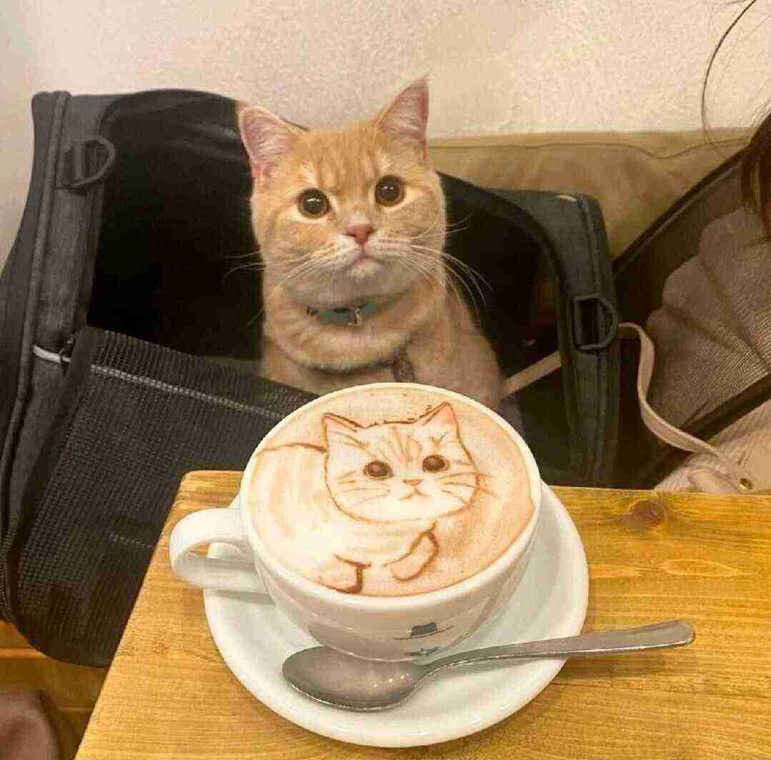 可愛い画像を貼るだけのトピ