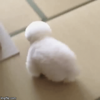 可愛い画像を貼るだけのトピ