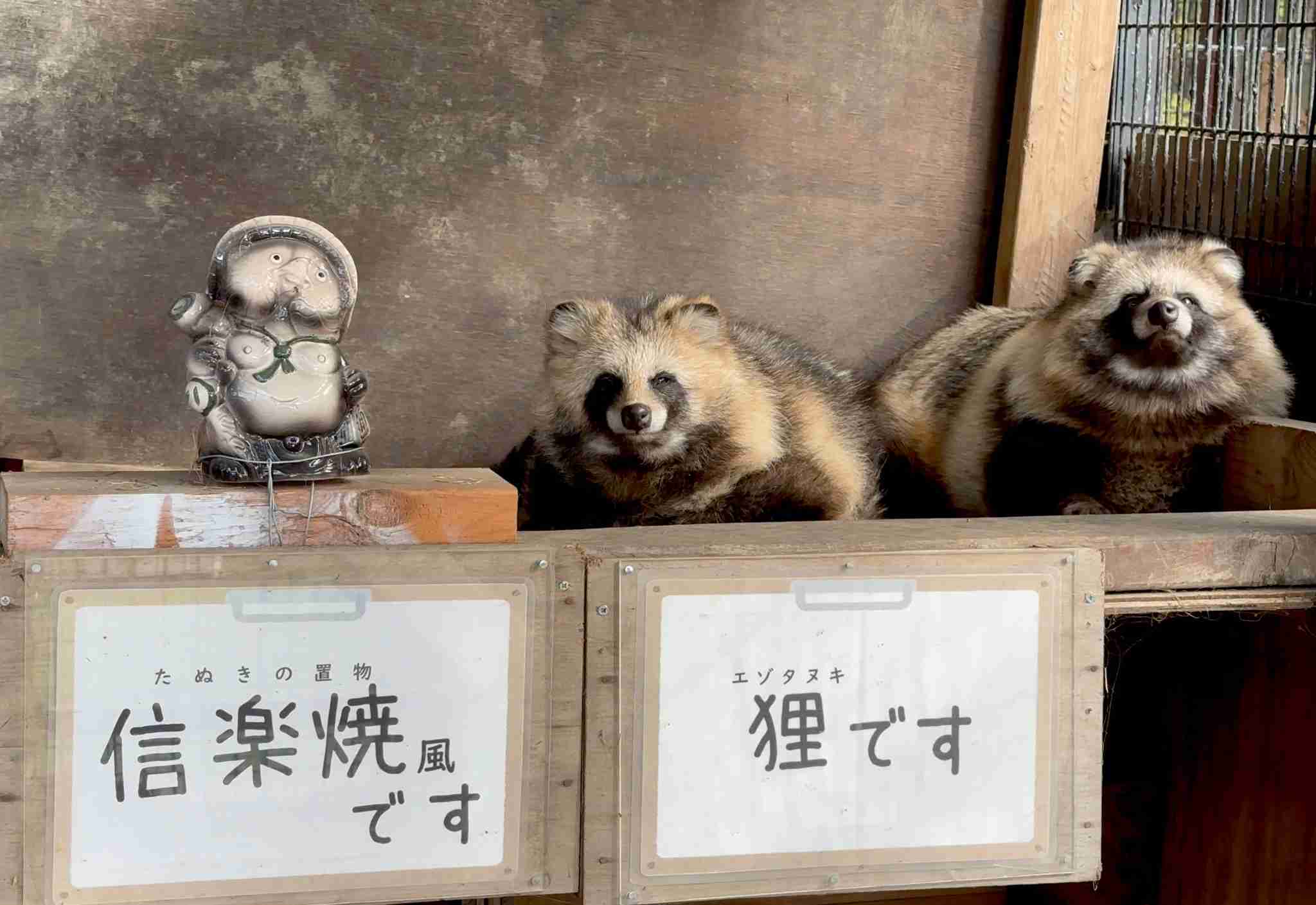 可愛い画像を貼るだけのトピ