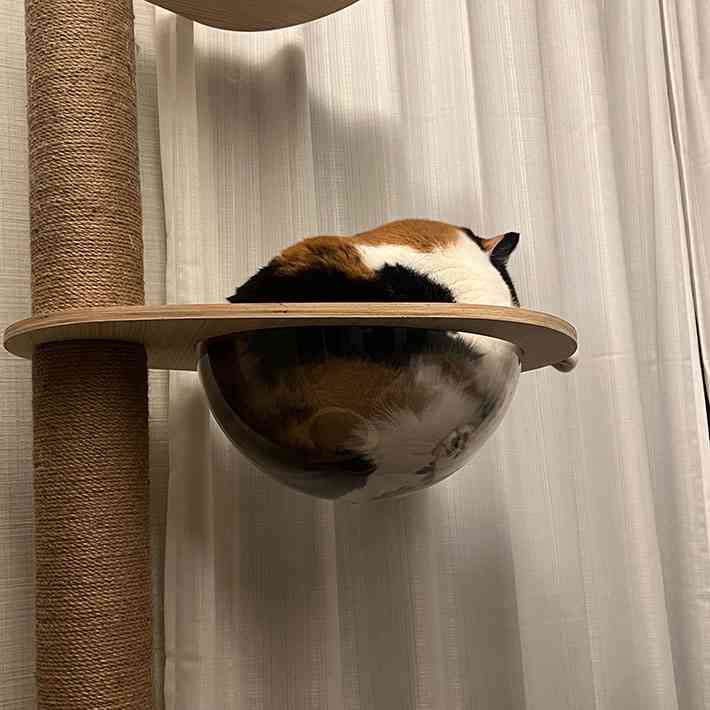 可愛い画像を貼るだけのトピ