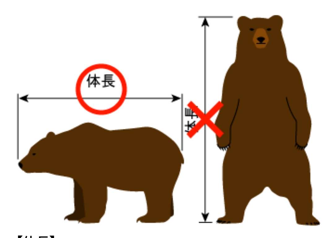 「80センチのクマが50センチの柴犬咥えて森に逃げた」宮城・大崎市　大衡村では「玄関出たらクマと鉢合わせ」60代女性が襲われる