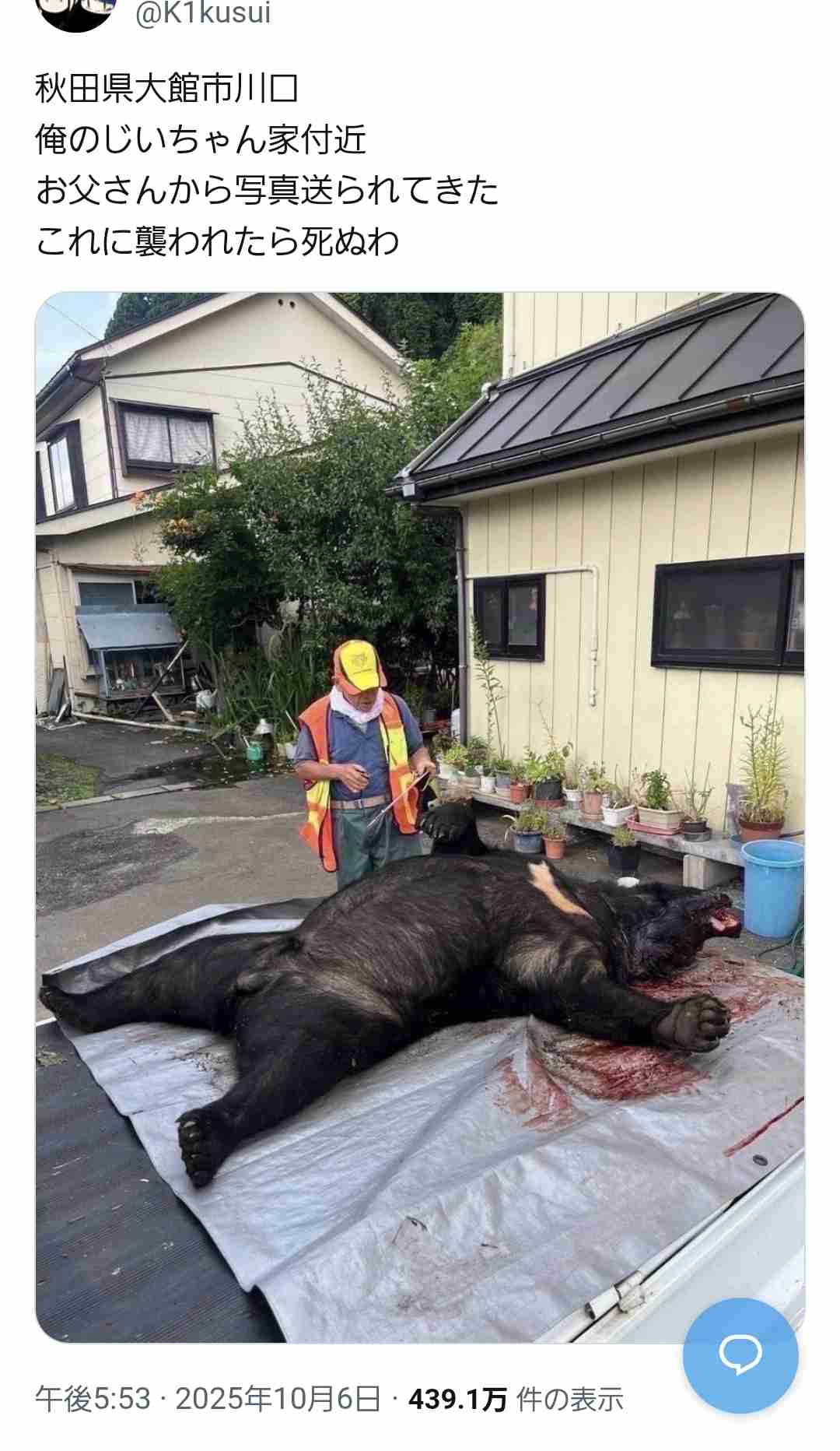 「80センチのクマが50センチの柴犬咥えて森に逃げた」宮城・大崎市　大衡村では「玄関出たらクマと鉢合わせ」60代女性が襲われる