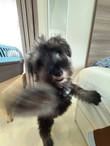 バイト辞めます 最後に文句言いたい