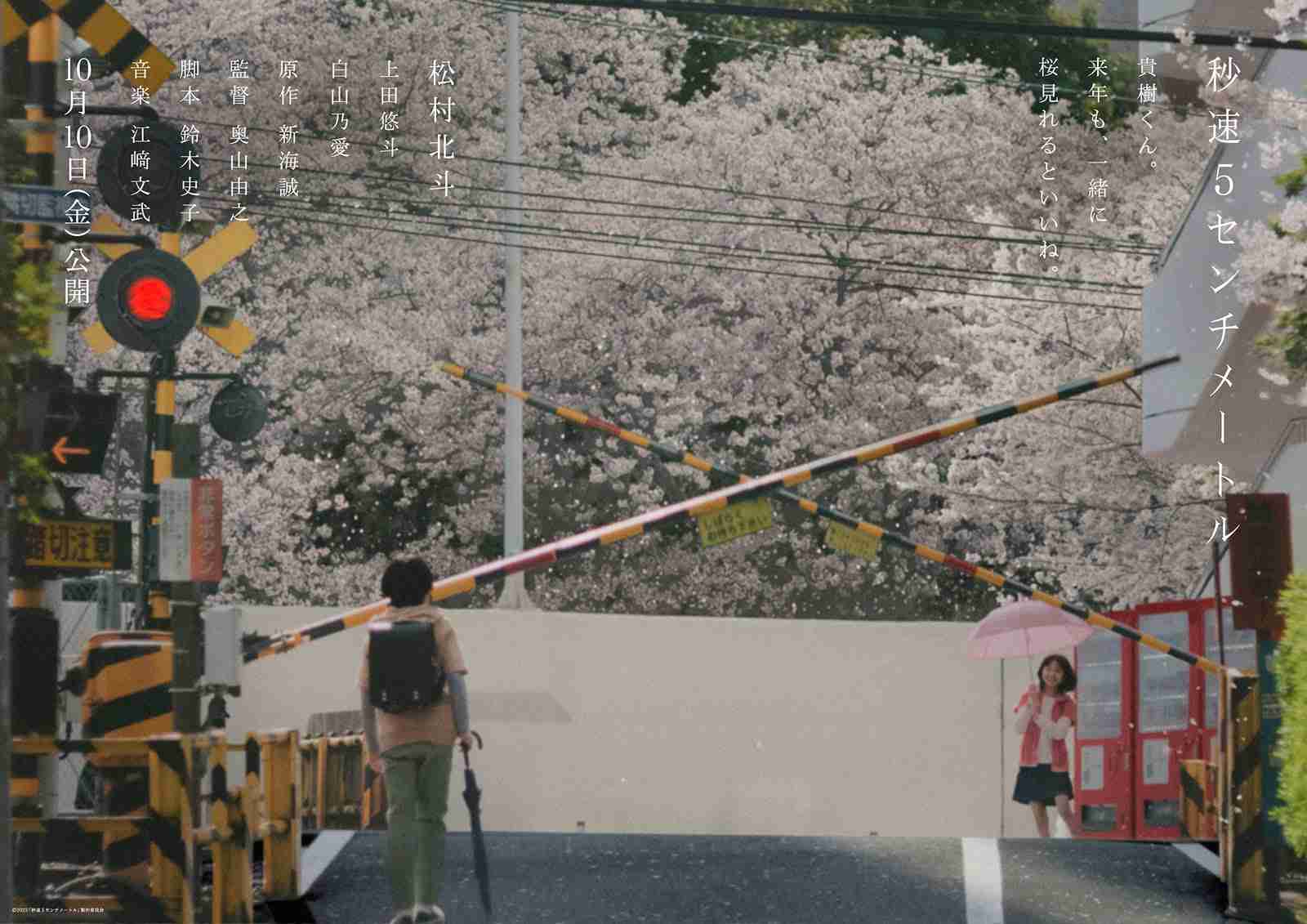 【映画】秒速5センチメートル観た人【ネタバレあり】