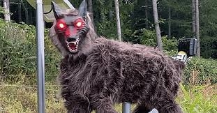 クマ対策について本気で考えよう