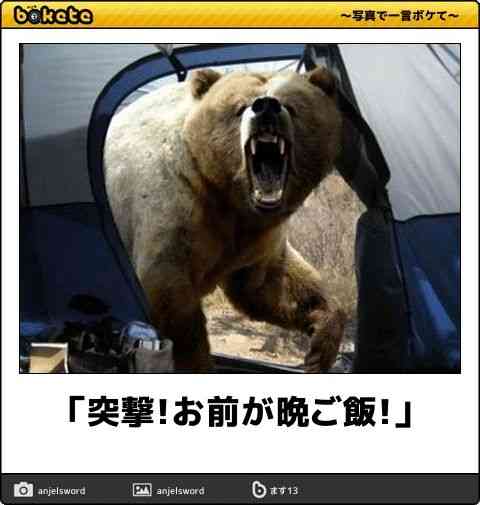 クマ対策について本気で考えよう