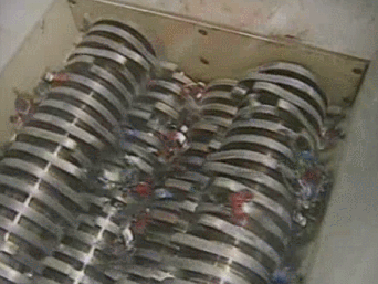 クマ対策について本気で考えよう