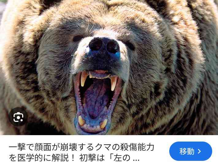 クマ対策について本気で考えよう