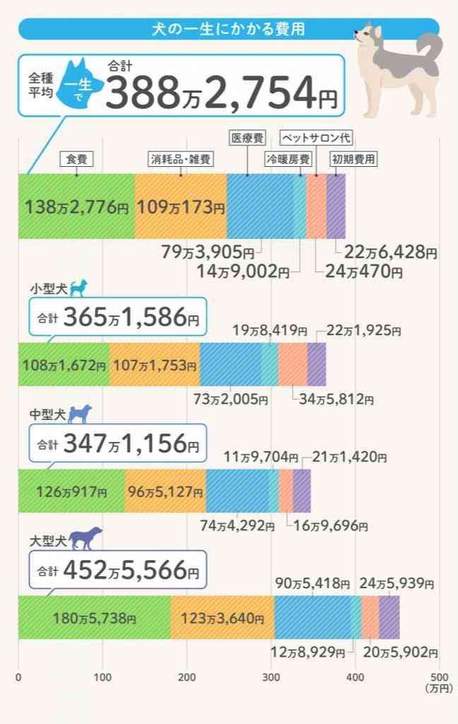 バイクと小型犬が交差点で接触事故 飼い主と運転手の双方に賠償命令