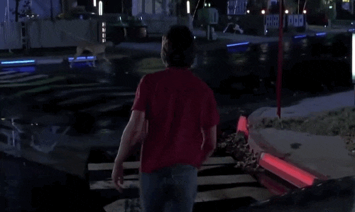 バイクと小型犬が交差点で接触事故 飼い主と運転手の双方に賠償命令