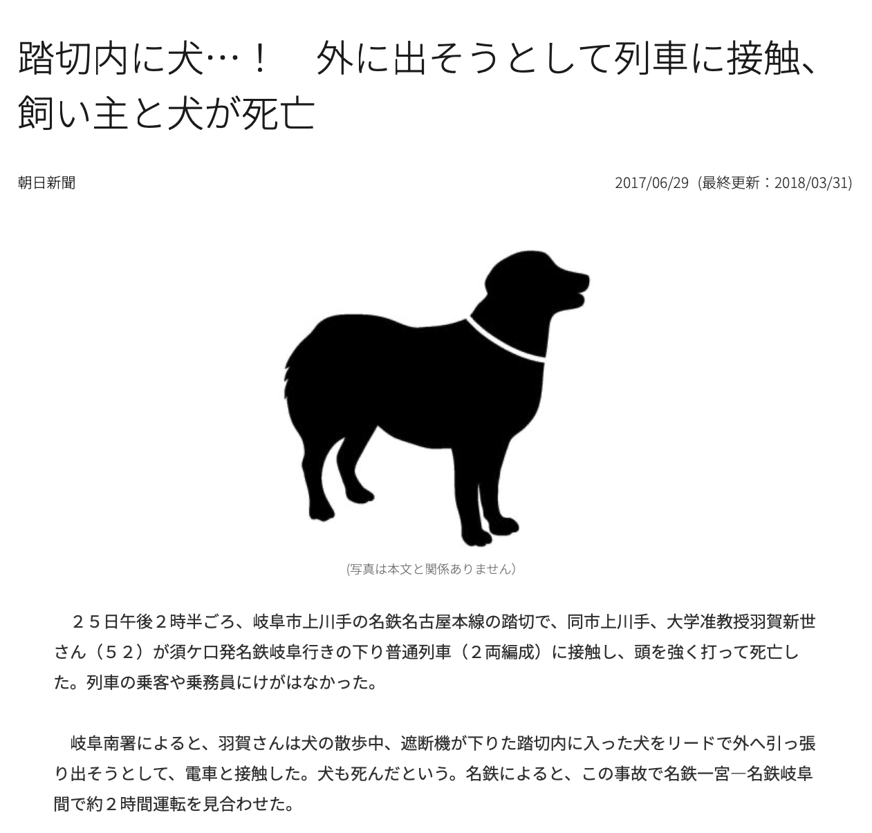 バイクと小型犬が交差点で接触事故 飼い主と運転手の双方に賠償命令