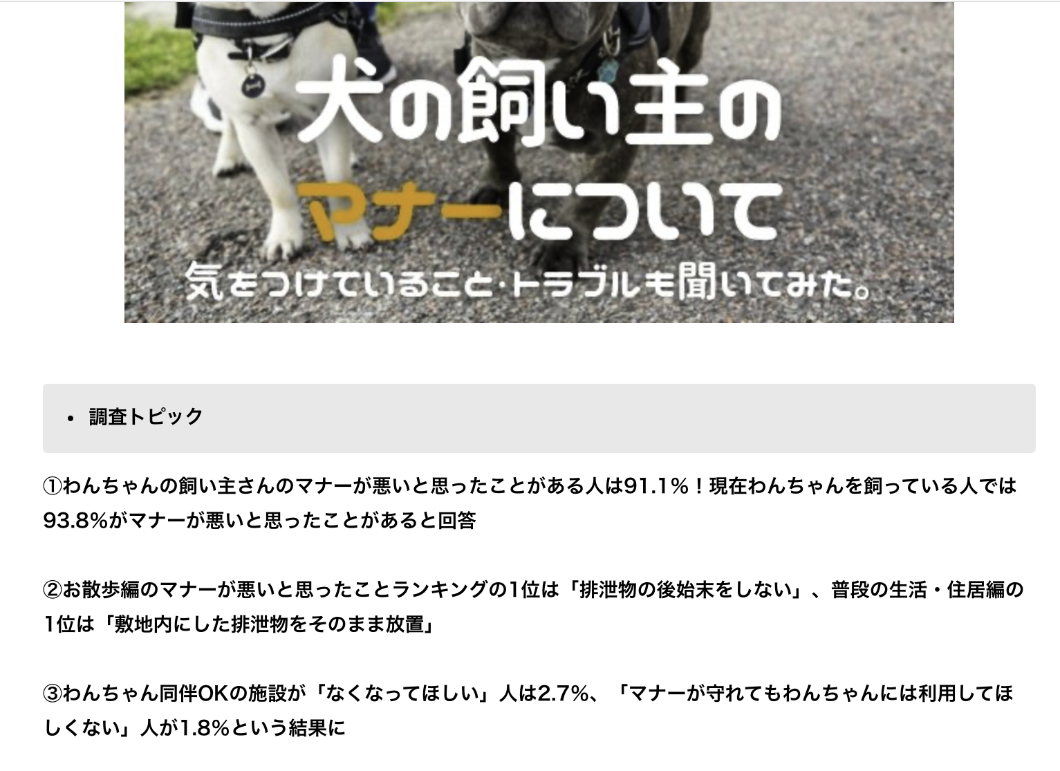 バイクと小型犬が交差点で接触事故 飼い主と運転手の双方に賠償命令
