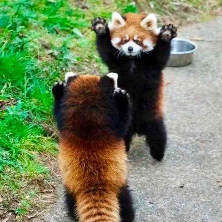 AI画像見抜ける?