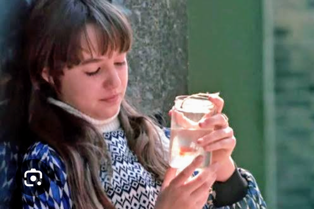 リバイバル上映して欲しい作品