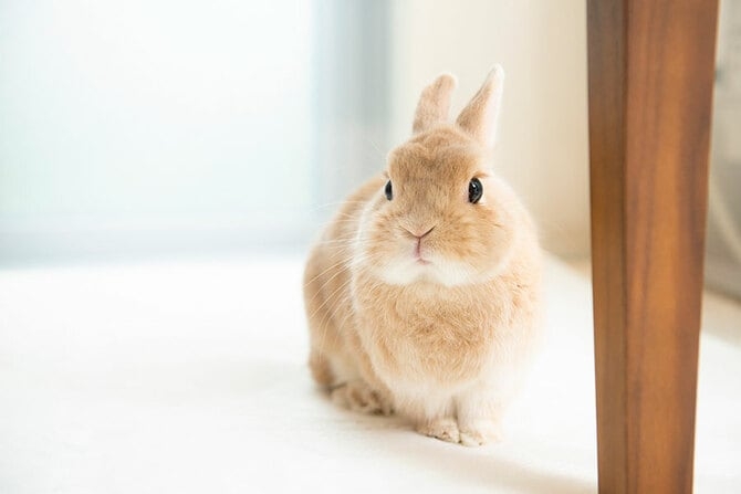過干渉過ぎる人のドン引きエピソード