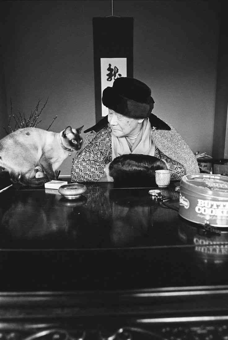 文豪や芸術家が猫と戯れてる画像を見よう! Part2