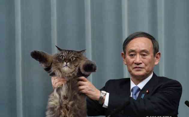 文豪や芸術家が猫と戯れてる画像を見よう! Part2