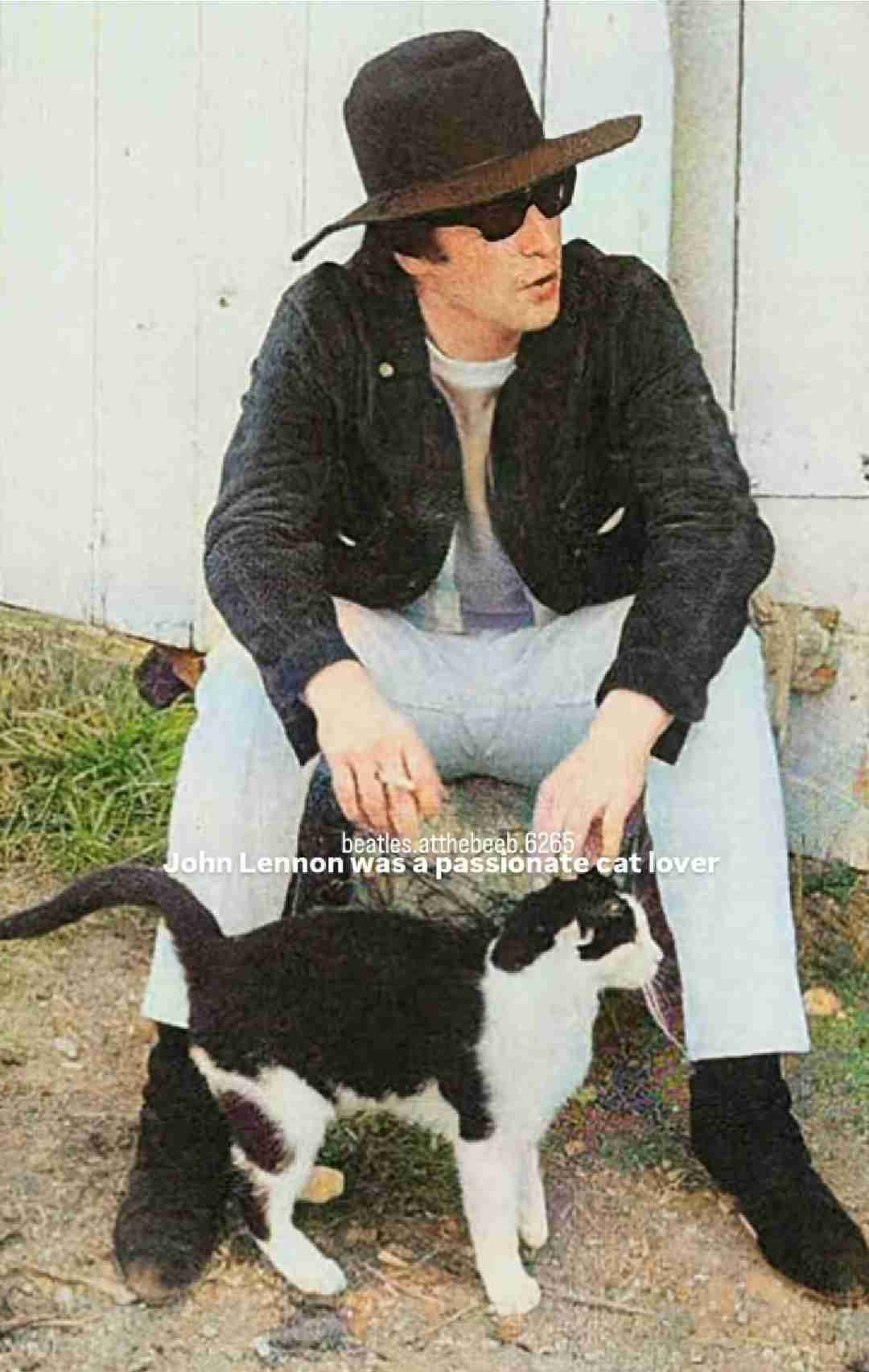 文豪や芸術家が猫と戯れてる画像を見よう! Part2