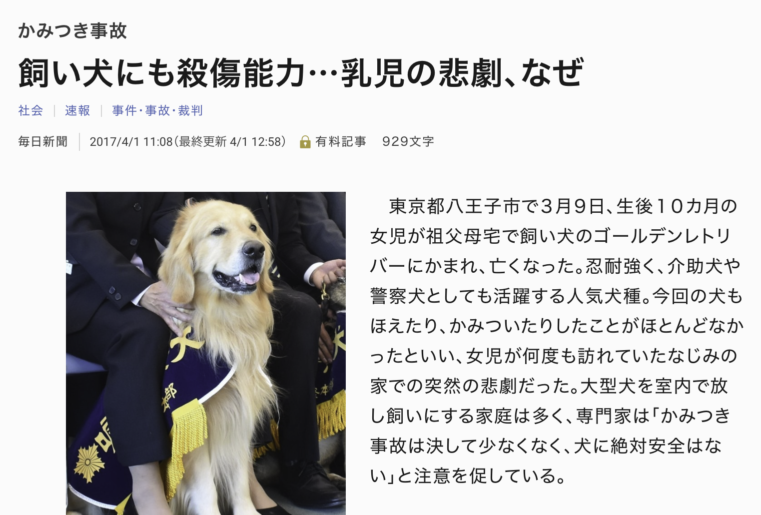 いま「一番人気の犬種」は?ベスト3とワースト3発表 あのブヒ系からバズらない名犬まで 米国