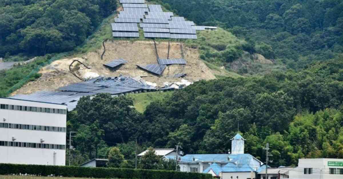 「もう戦争だよ」クマ被害急増に前秋田県知事が怒り 犠牲者の状態「本当にむごい」「葬る方だって惨め」