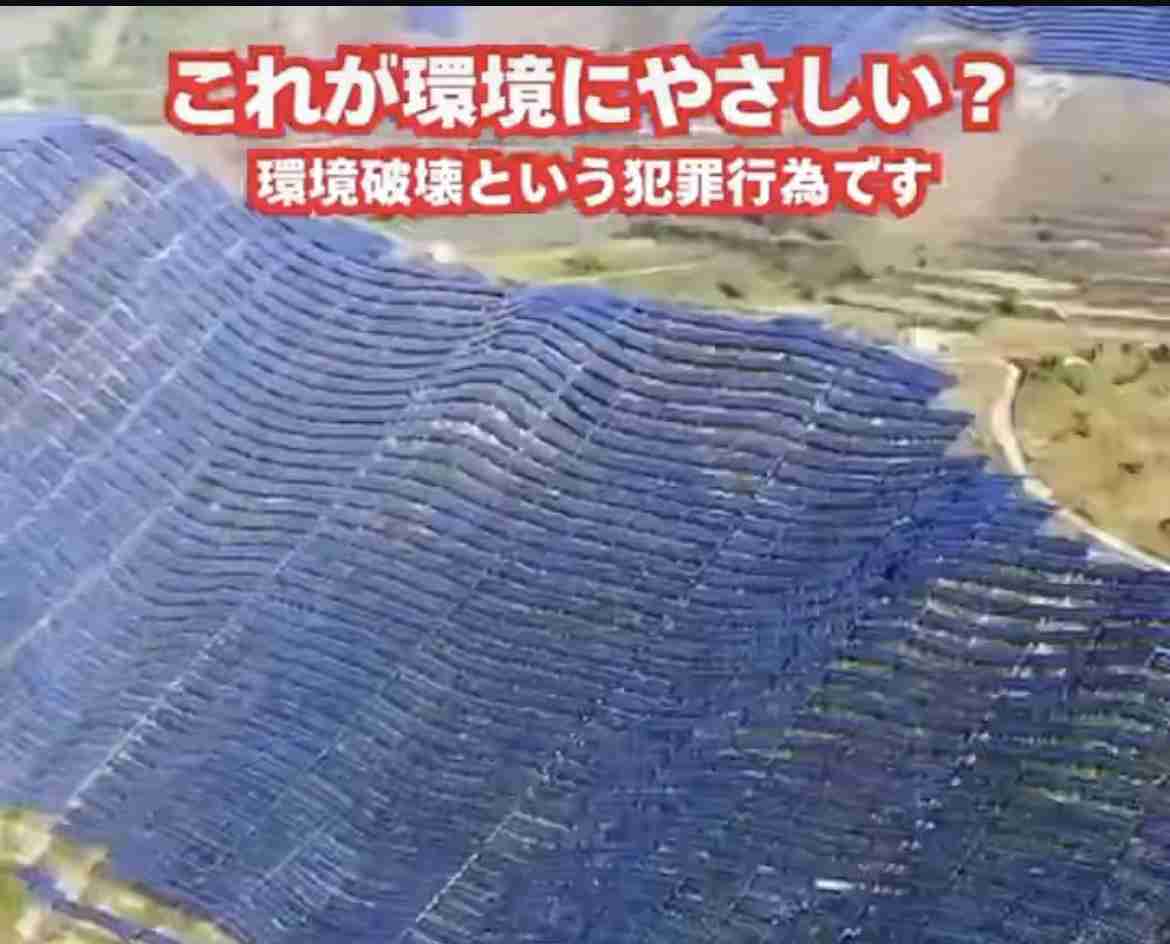 「もう戦争だよ」クマ被害急増に前秋田県知事が怒り 犠牲者の状態「本当にむごい」「葬る方だって惨め」