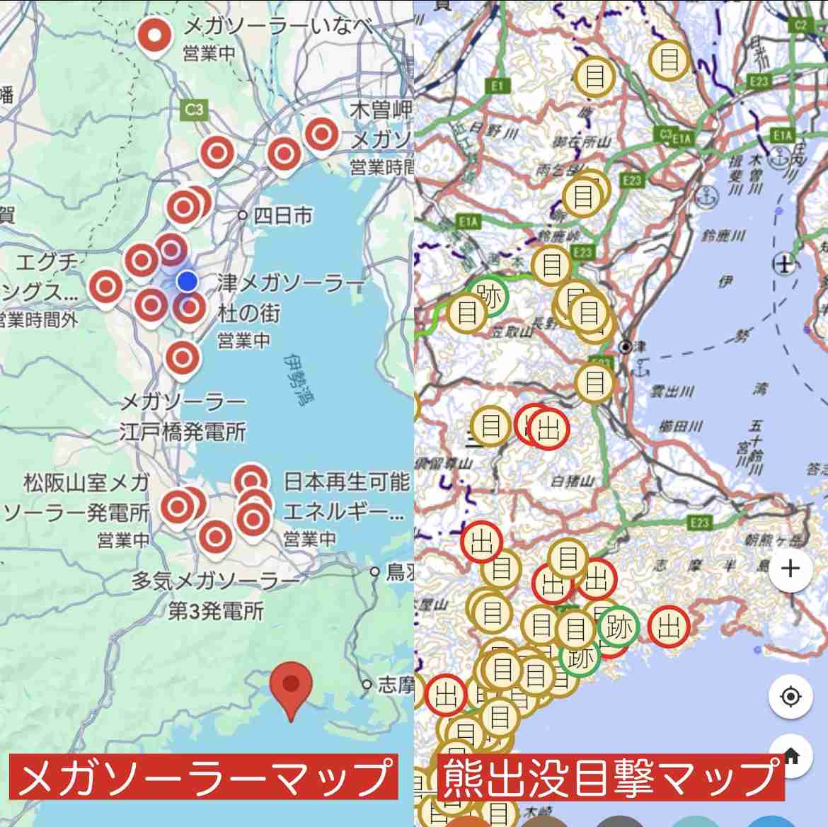 「もう戦争だよ」クマ被害急増に前秋田県知事が怒り 犠牲者の状態「本当にむごい」「葬る方だって惨め」