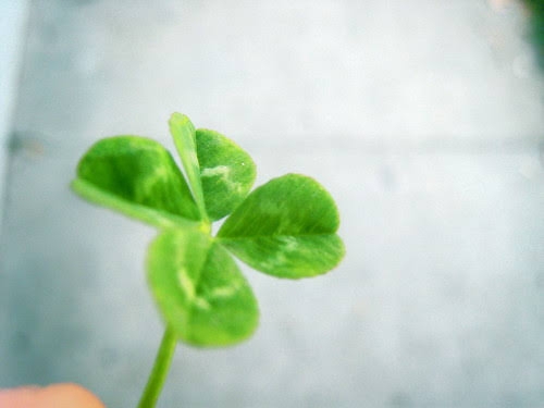 幸せのお裾分けについて