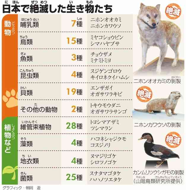 維新市議「今すぐクマを絶滅させるべき」と提言 米山隆一氏が反論「馬鹿げた『いきり』政策だと思います」