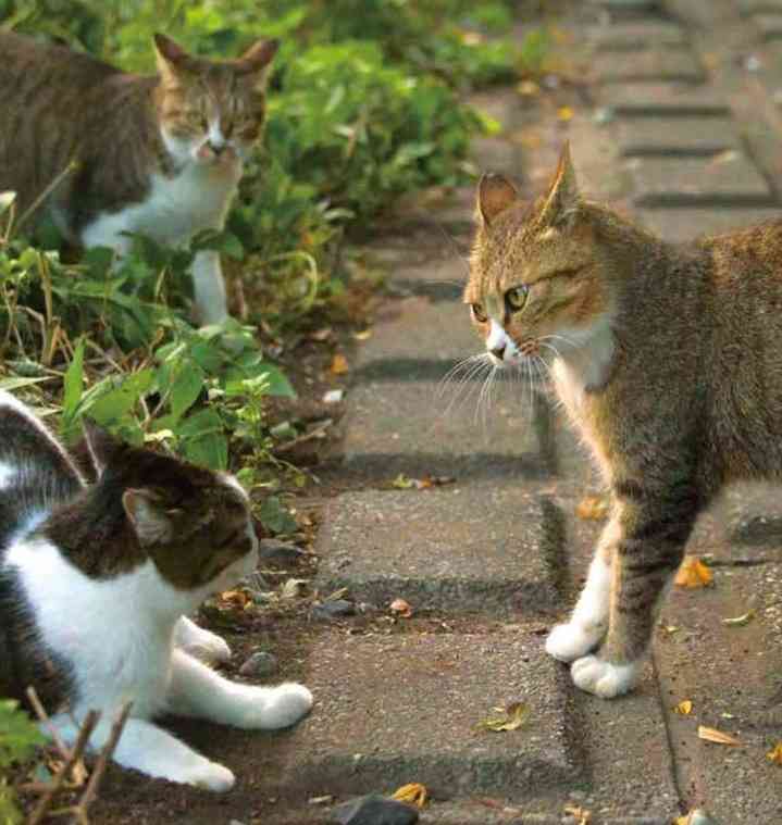 旦那としたしょーもない喧嘩の内容