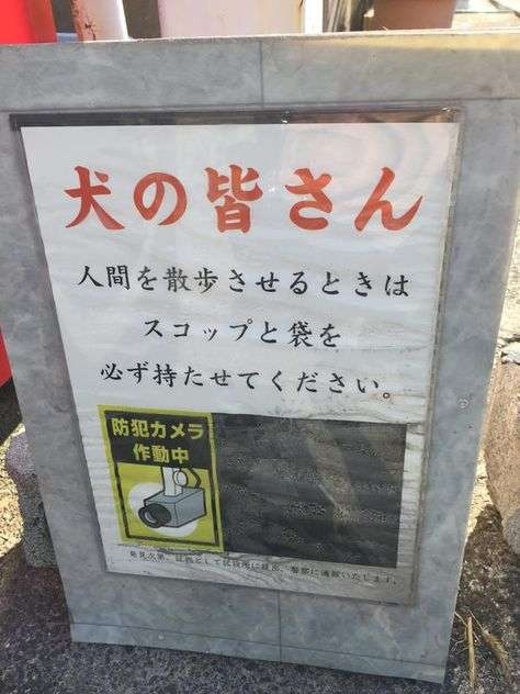 思わずツッコミたくなる画像を貼ると、誰かが関西弁でツッコんでくれるトピpart10