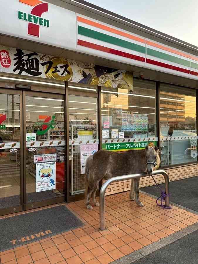 思わずツッコミたくなる画像を貼ると、誰かが関西弁でツッコんでくれるトピpart10