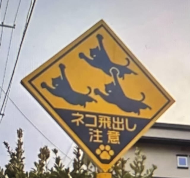 思わずツッコミたくなる画像を貼ると、誰かが関西弁でツッコんでくれるトピpart10