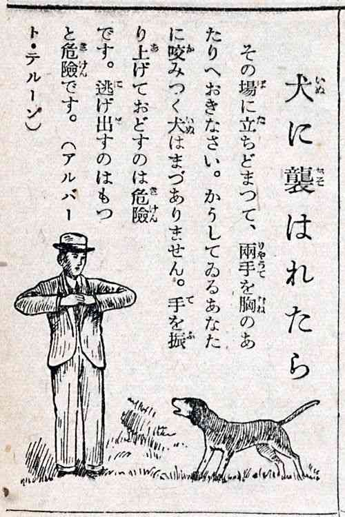 思わずツッコミたくなる画像を貼ると、誰かが関西弁でツッコんでくれるトピpart10