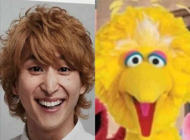 昔みたいに芸能人にハマれない