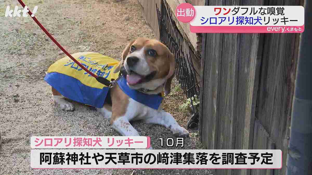 仕事中 無になる方法