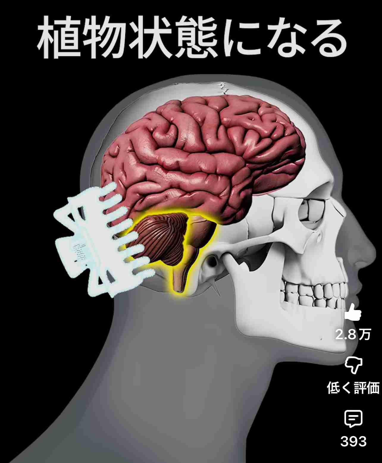 【アラフォー以上】オススメのヘアアクセサリー教えて