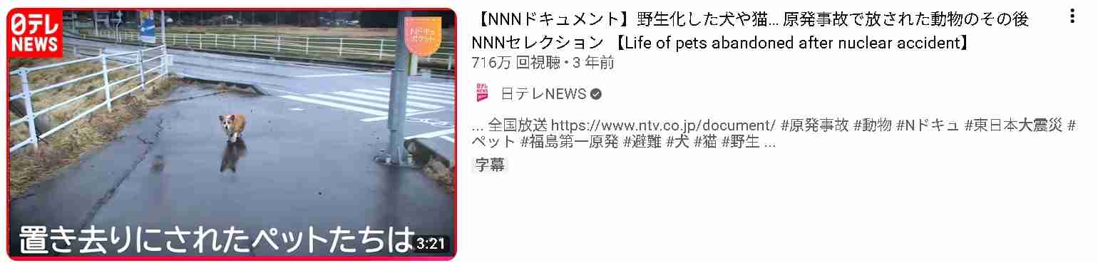 災害時のペットとの同行避難・同伴避難について語りませんか？Part3