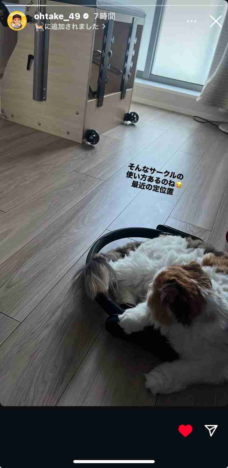 🐯阪神タイガース 応援トピ🐯