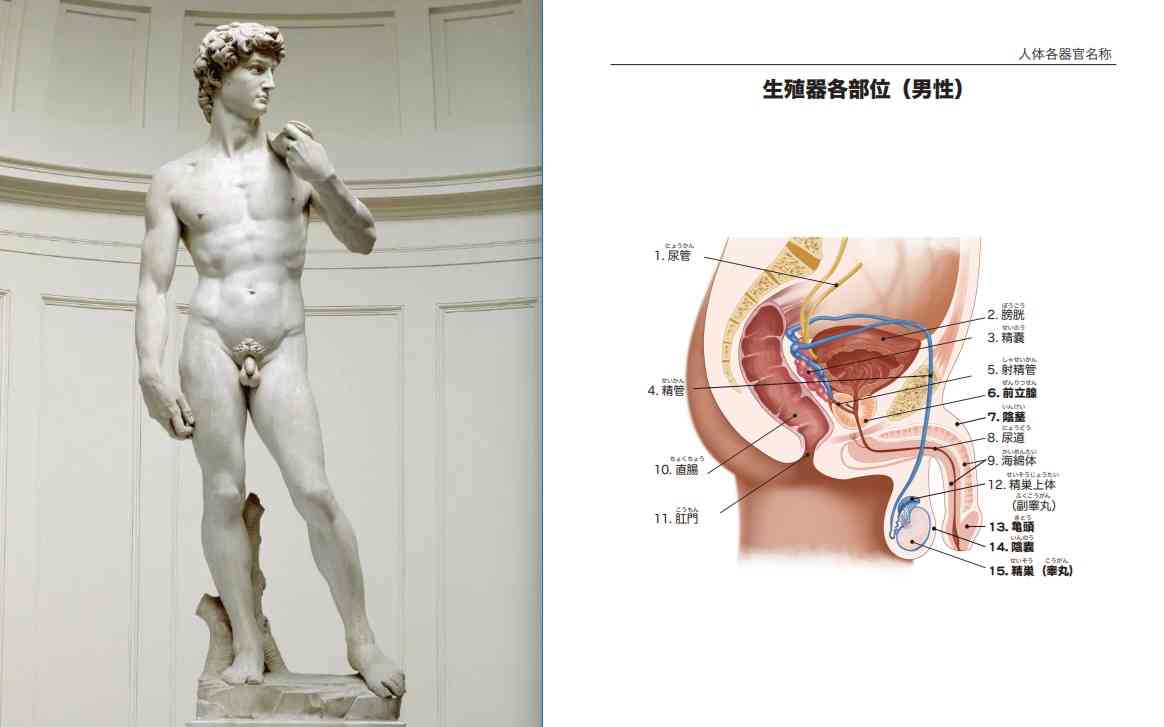 「いくら言っても立ちションする」 実は多い《座ってトイレをしない夫》にイライラする妻たち→有効な対処法が集まる