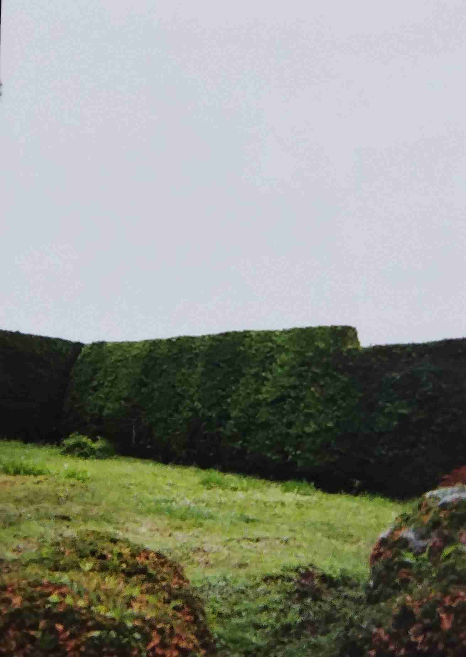 小学生ギャル(10歳)、100坪・8SSLDKの自宅豪邸を公開「高級車が10台買えるくらいの値段」50畳以上のリビング&キッチンに驚きの声「やばい」「何だよこれ!」