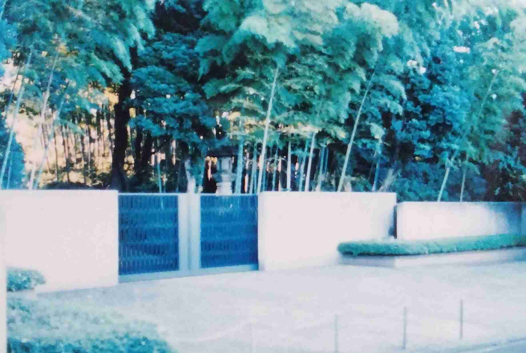 小学生ギャル(10歳)、100坪・8SSLDKの自宅豪邸を公開「高級車が10台買えるくらいの値段」50畳以上のリビング&キッチンに驚きの声「やばい」「何だよこれ!」