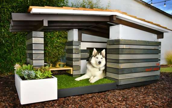 マンション派🏢か戸建て派🏠